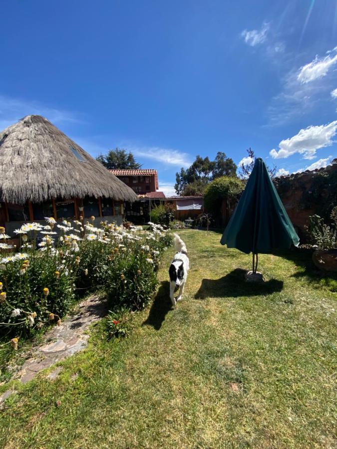 Casa De La Gringa Mountain House Bed & Breakfast Куско Екстериор снимка